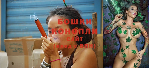 прущий лед Ельня
