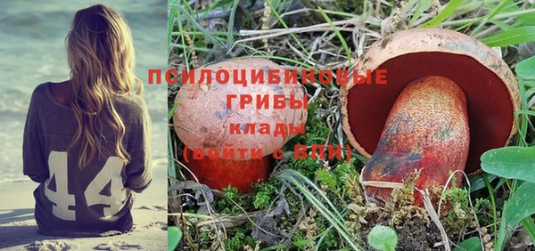гашиш Дмитриев