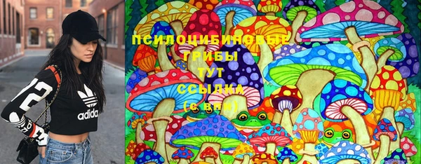 первитин Дмитровск
